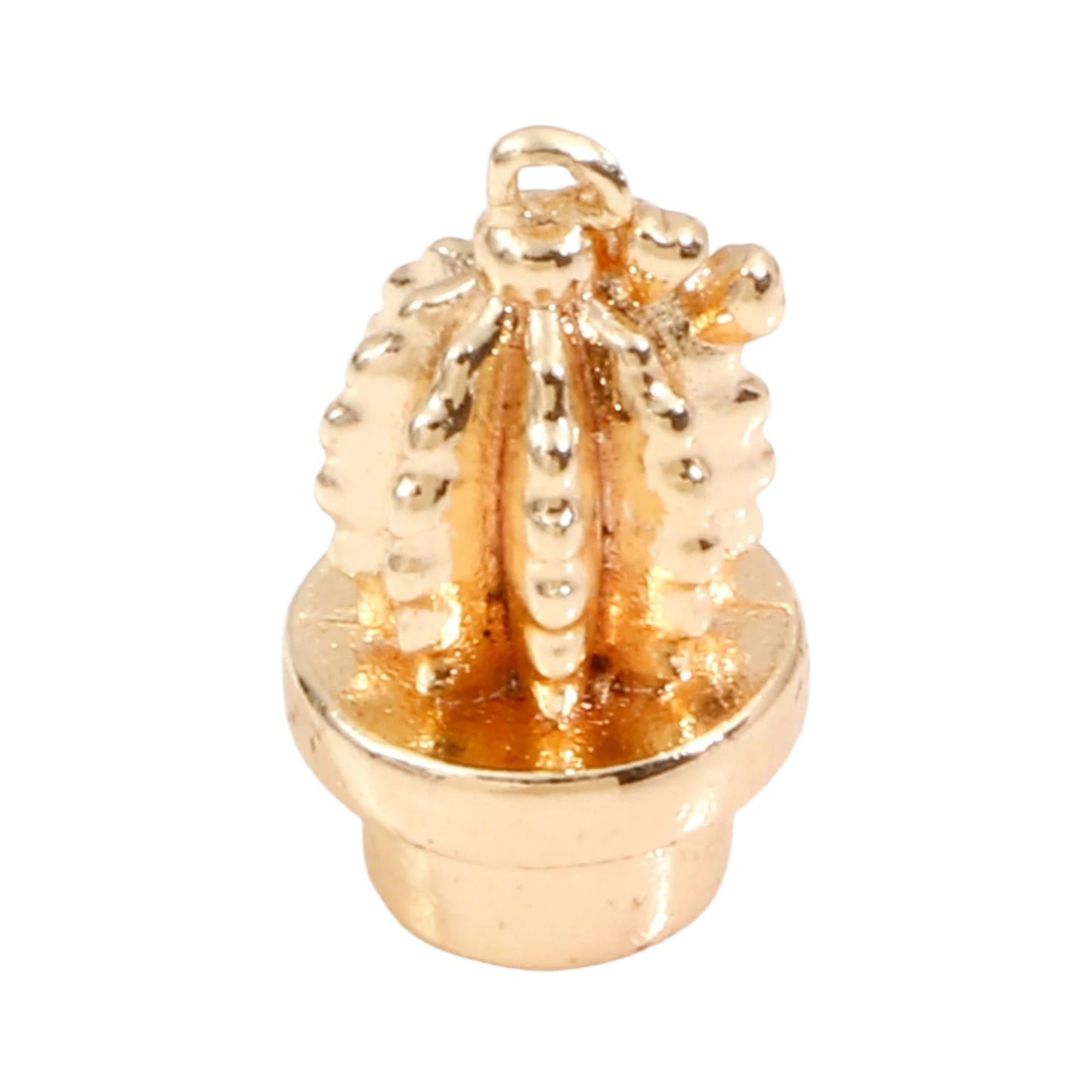 Cactus Plant Charm