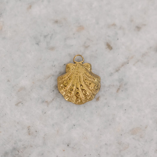 Shell Charm