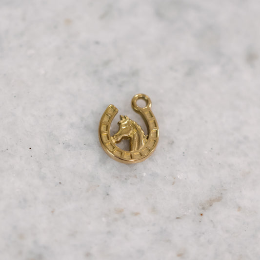 Horse in Horseshoe Charm