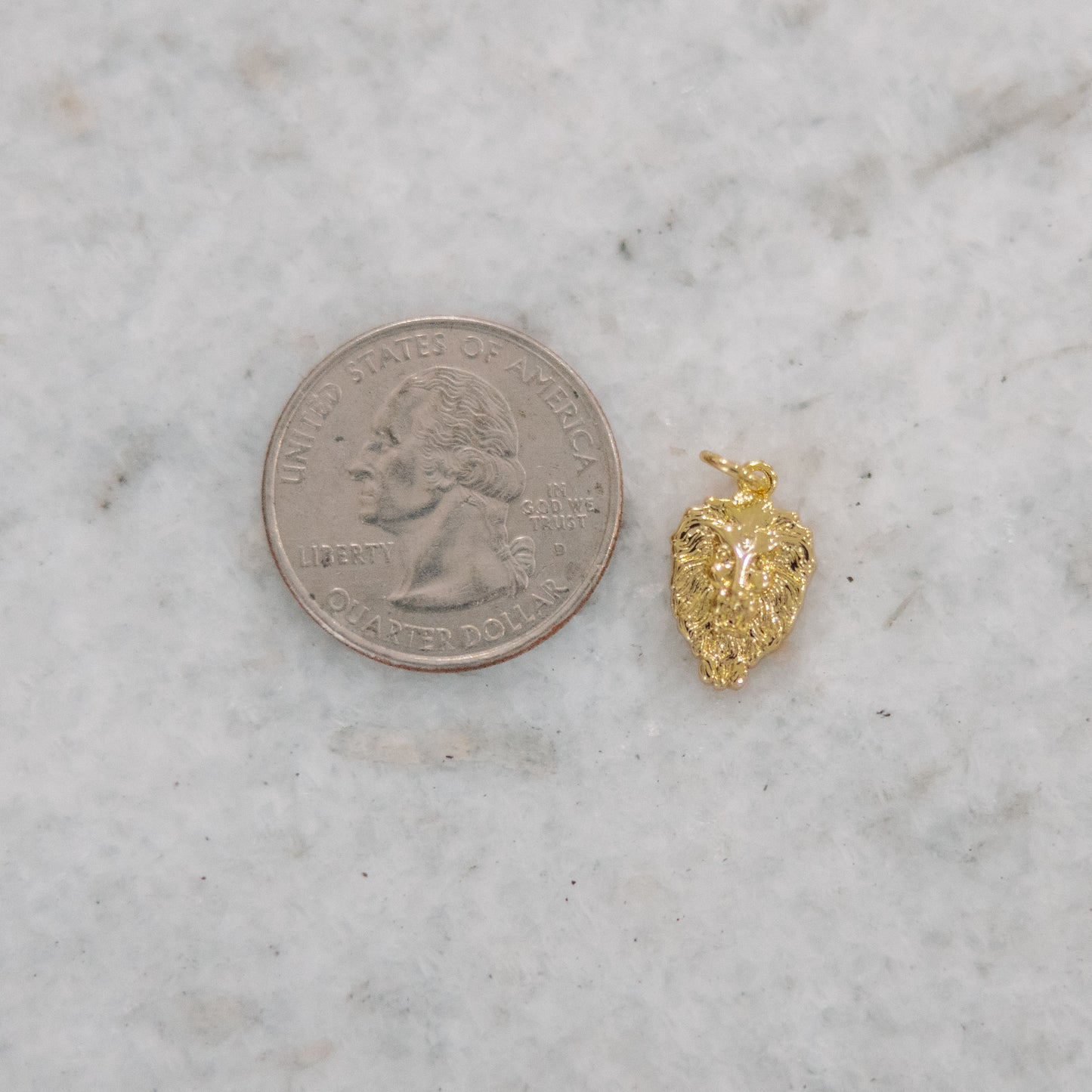 Lion Head Charm